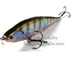 Lucky Craft EPG LL Pointer 170-895 Ghost Blue Gill