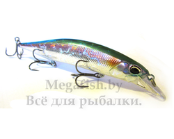 DUO Realis Jerkbait 120SP (18,0 г) D77