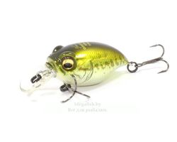 voblery-megabass-sr-x-griffon-new-floating-gg-bass