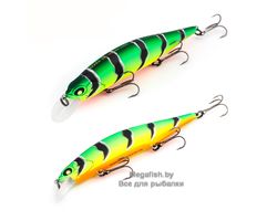 Best-Minnow-100SP-A107