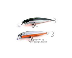 Best-Minnow-100SP-A23