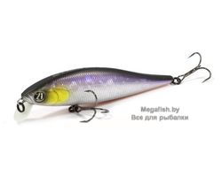 Vobler-Pontoon-21-Bet-A-Minnow-102SP-SR-A11