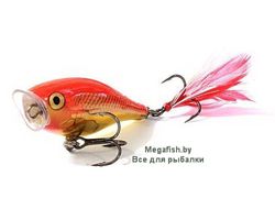 Vobler-Rapala-Skitter-Pop-05-SGFR