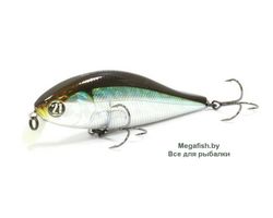 Vobler-Pontoon21-Bet-A-Shad-83SP-SR-005