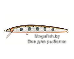 Pontoon21-Marionette Minnow-108SP-SR-050