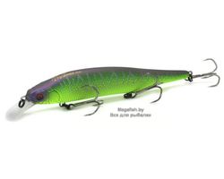 ​vobler-megabass-ito-shiner-mat-green-lizard