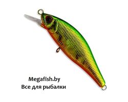 Anglers-Republic-Alexandra-A-79