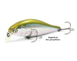 Pontoon21-Bet-A-Shad-75F-SR-012