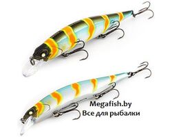 Best-Minnow-100SP-A106