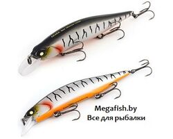 Best-Minnow-100SP-A109