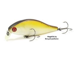 Vobler-Pontoon21-Bet-A-Shad-83SP-SR-317