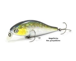 Pontoon21-Bet-A-Shad-75F-SR-R30