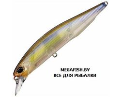 Vobler-DUO-Realis-Jerkbait-110SP-CCC3176