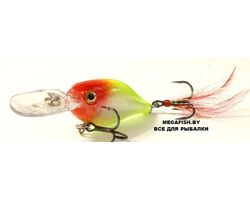 Rapala-X-Rap-Shad-08-CLN