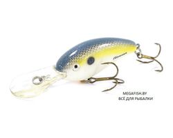 Bomber-Fat-Free-Shad-DTS-FS