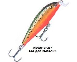 Rapala-Team-Esko-07-GRF