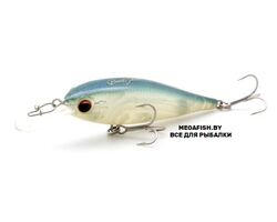 EverGreen-Bank-Shad-247