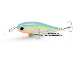 EverGreen-Bank-Shad-248