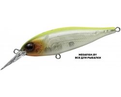 EverGreen-Bank-Shad-59