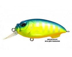 Megabass-SR-X-Cyclone-glx-chart-bream