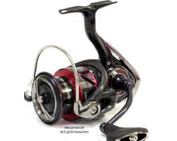 Daiwa-Fuego-20-LT-4000-C