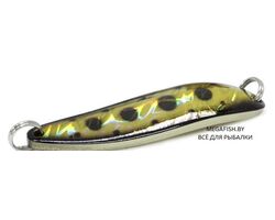 Daiwa-L-Chinook-S-Kurokin-amame