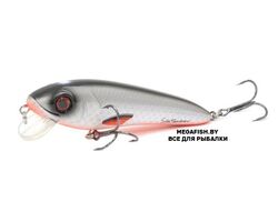 Abu-Garcia-Svartzonker-McCelly-140-Fegis