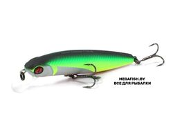 Pontoon21-Dexter-Minnow-93S-SR-R37