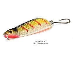 Daiwa-S.C.-Masau-Trout