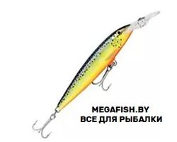 Rapala-Barra-Magnum-HS