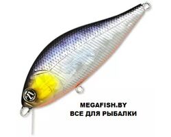 Pontoon21-Bet-A-Shad-75F-SR-A11