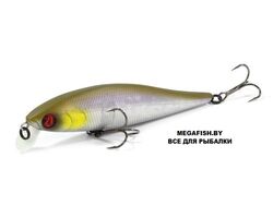 Pontoon21-Bet-A-Minnow-78SP-SR-A30