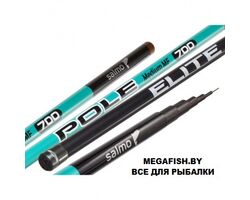 Salmo-Elite-Pole-Medium-MF