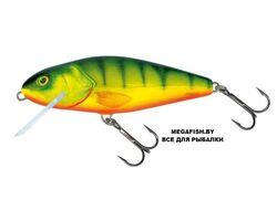 Salmo-Perch-HPH