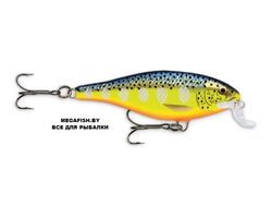 Vobler-Rapala-Shallow-Shad-Rap-07-HS