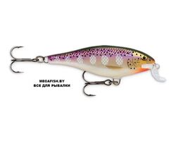 Vobler-Rapala-Shallow-Shad-Rap-07-PD