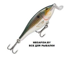 Vobler-Rapala-Shallow-Shad-Rap-07-SD