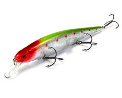 Lucky-Craft-Pointer-Nishiki-251