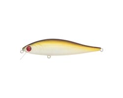 PONTOON-21-Bet-A-Minnow-317