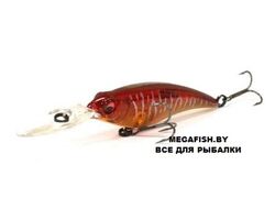 MEGABASS-SHADING-X-NC-Spawn-Tiger