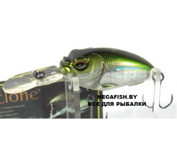 MEGABASS-MR-X-CYCLONE-GW-Shira-Hae