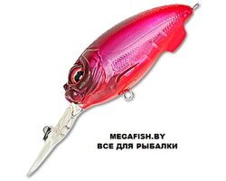 MEGABASS-MR-X-CYCLONE-NC-FFR