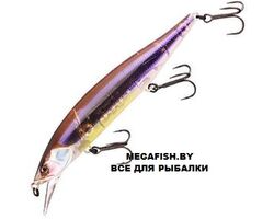 Jackall-RV-Minnow-110SP-pol-skeleton-wakasagi