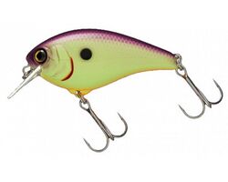 Jackall-Aska-purple-chartreuse