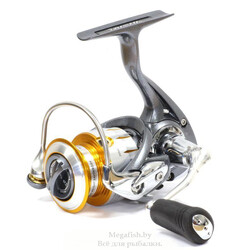 katushka-bezynercionnaya-daiwa-freams-11-2000