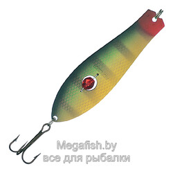 blesna-kuusamo-professor-2-90-26-GR-B