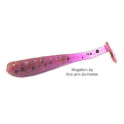 Nano-Minnow-2.2-12