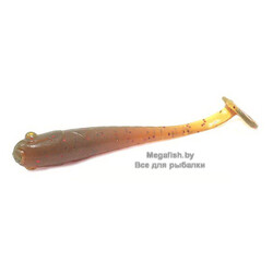 Nano-Minnow-2.2-14