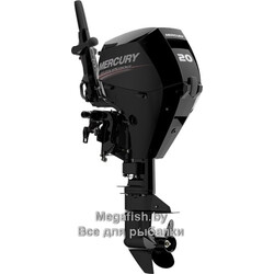 ME-F20-ELPT-EFI