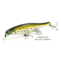 gg-rainbow-trout